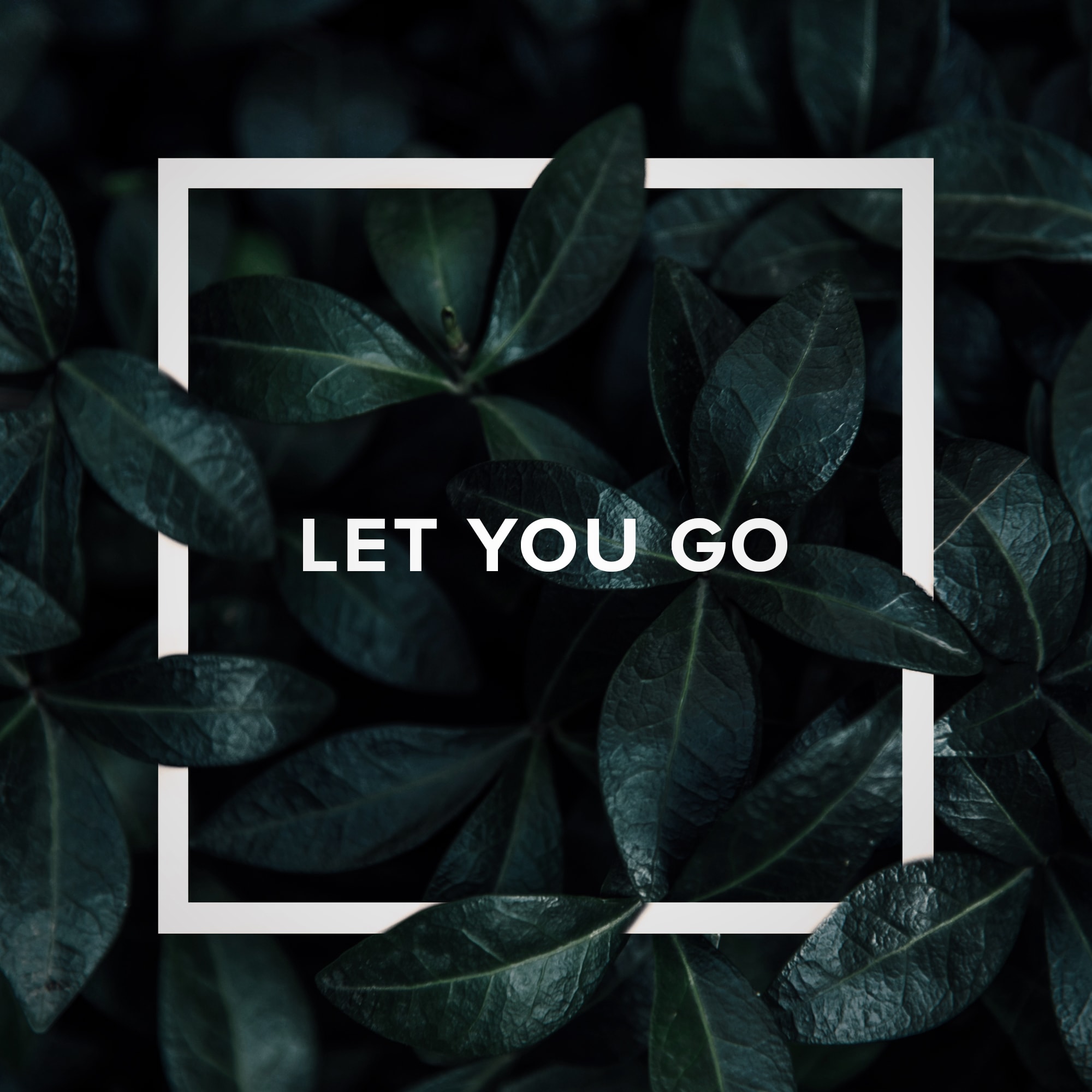 Let You Go